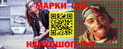 спиды Кингисепп