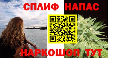 спиды Кингисепп
