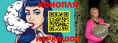 спиды Кингисепп