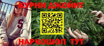 спиды Кингисепп