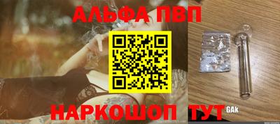 спиды Кингисепп