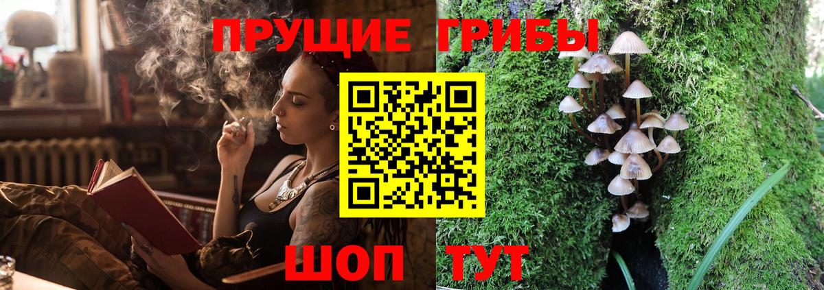 Кирово-Чепецк  Псилоцибиновые грибы прущие грибы  Вход с VPN 