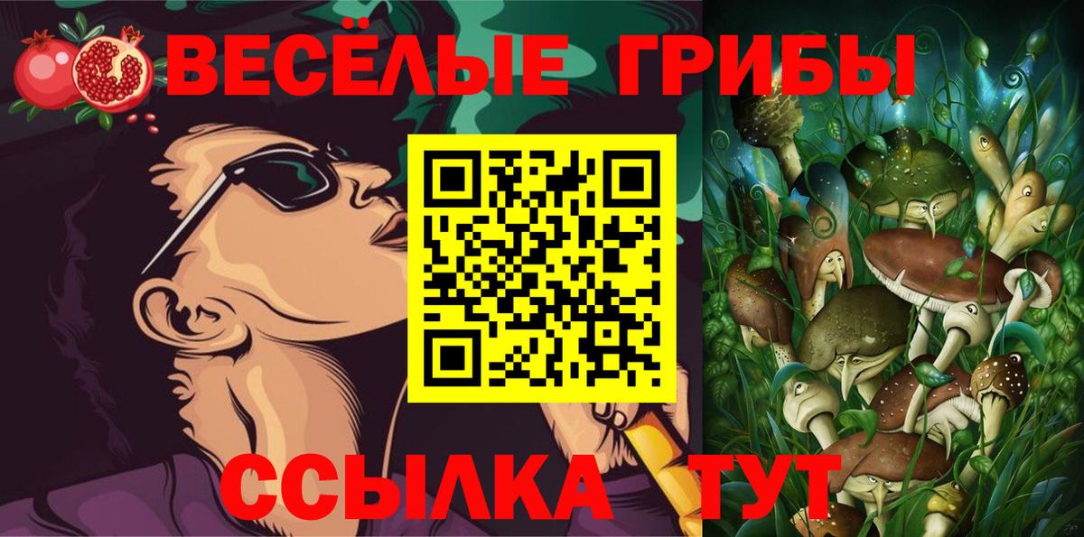 Галлюциногенные грибы мухоморы Кирово-Чепецк